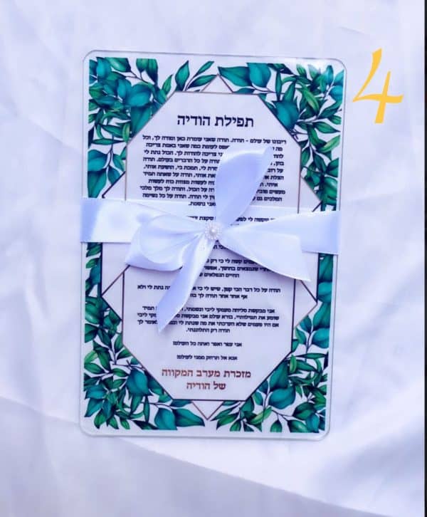 ⁦חבילת ברכון⁩ – תמונה ⁦5⁩