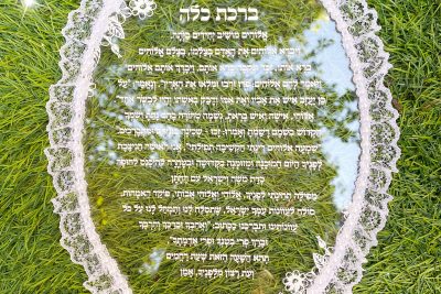 ברכת כלה שקופה בצורת אליפסה