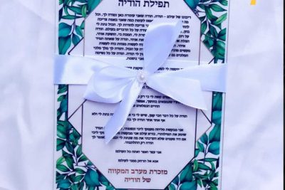 ברכון שקוף דגם עלים ירוקים